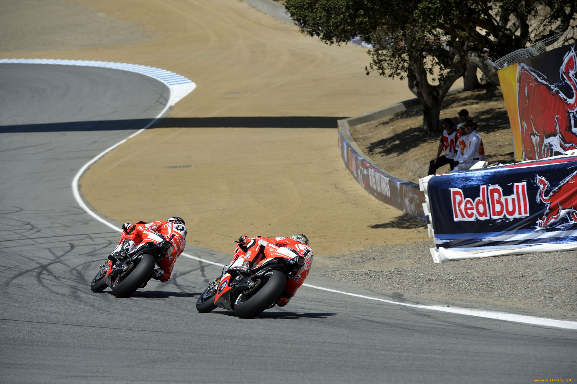 , , 2013, motogp